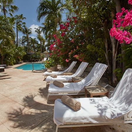 Paradera Park Aruba Oranjestad Kültér fotó