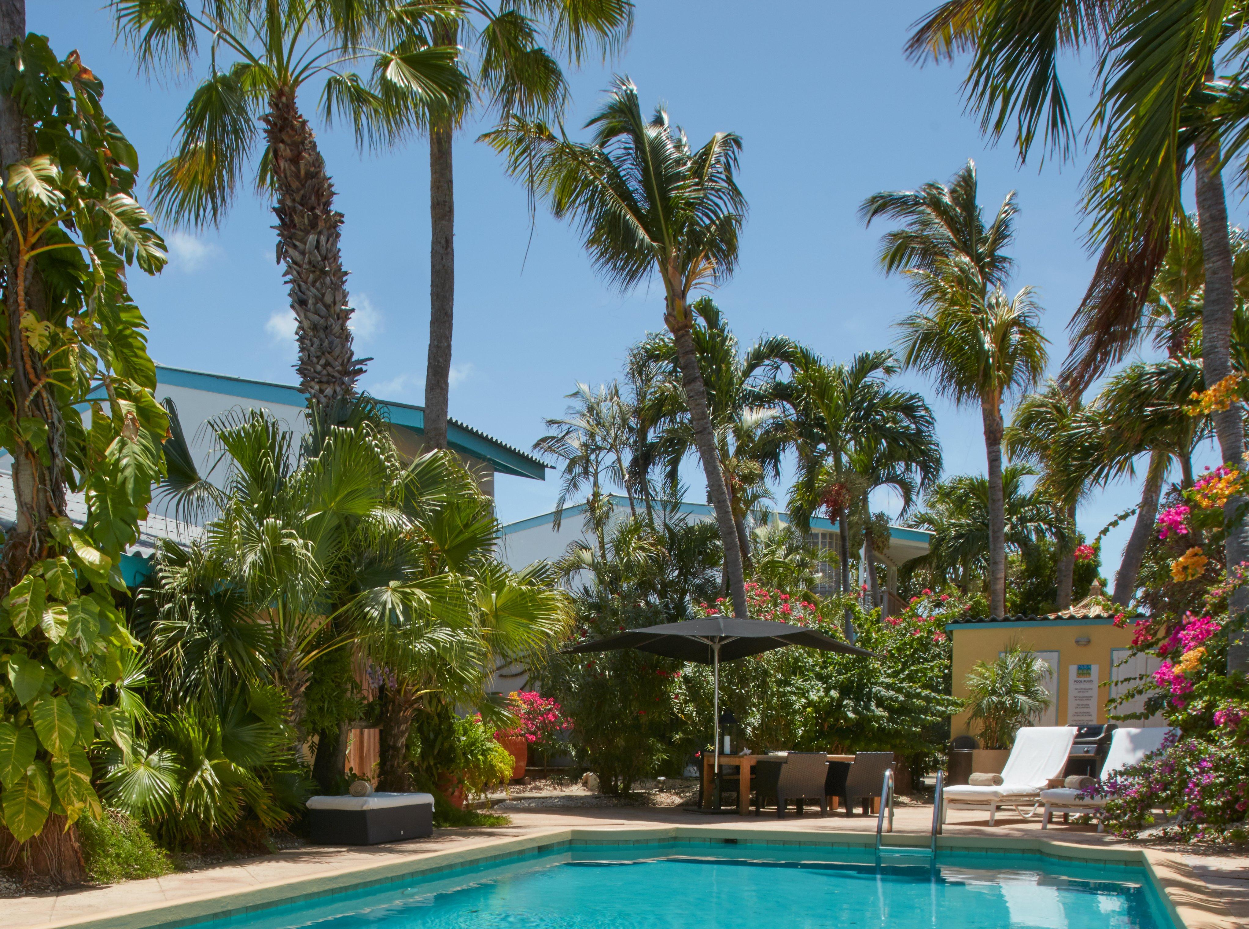 Paradera Park Aruba Oranjestad Kültér fotó