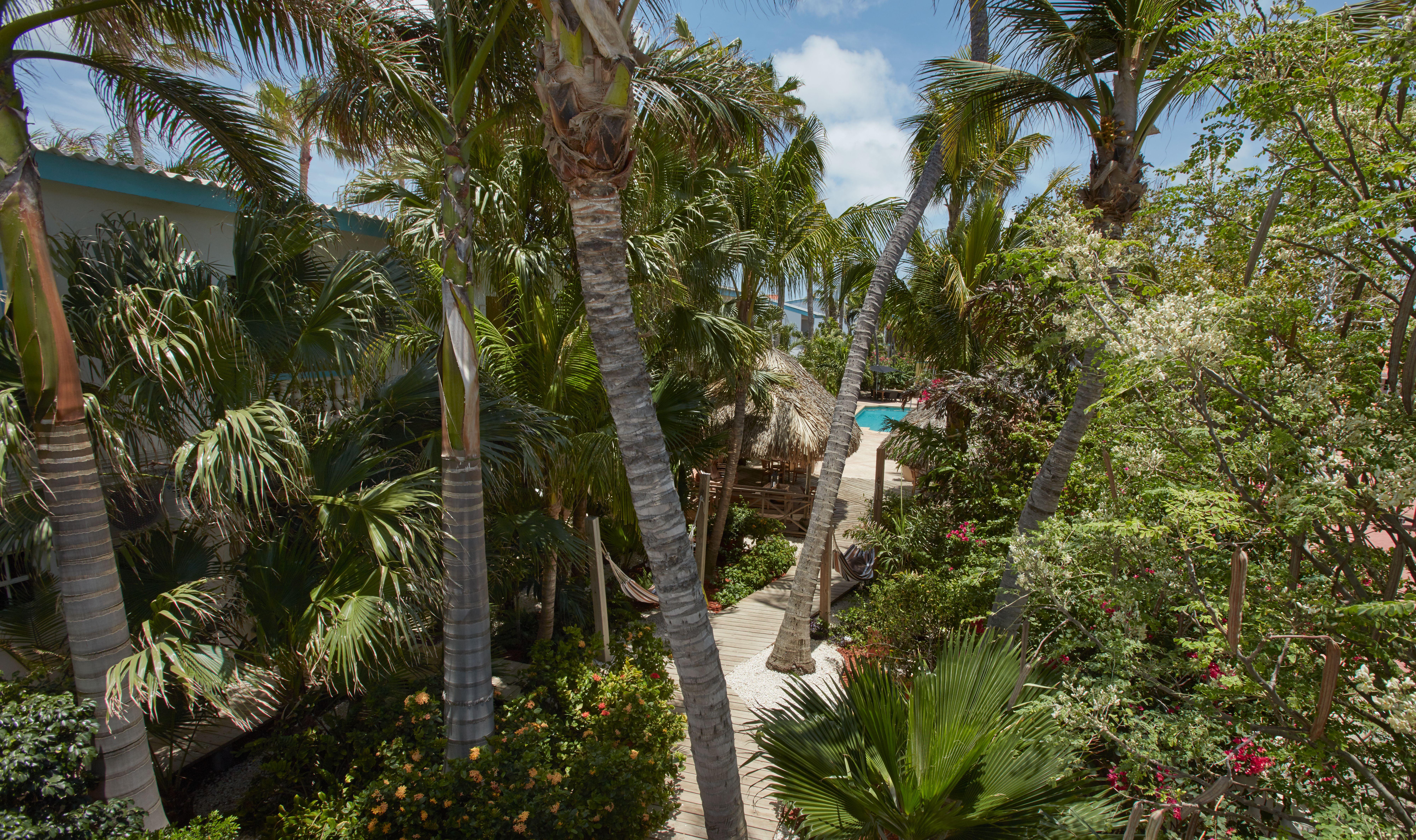 Paradera Park Aruba Oranjestad Kültér fotó