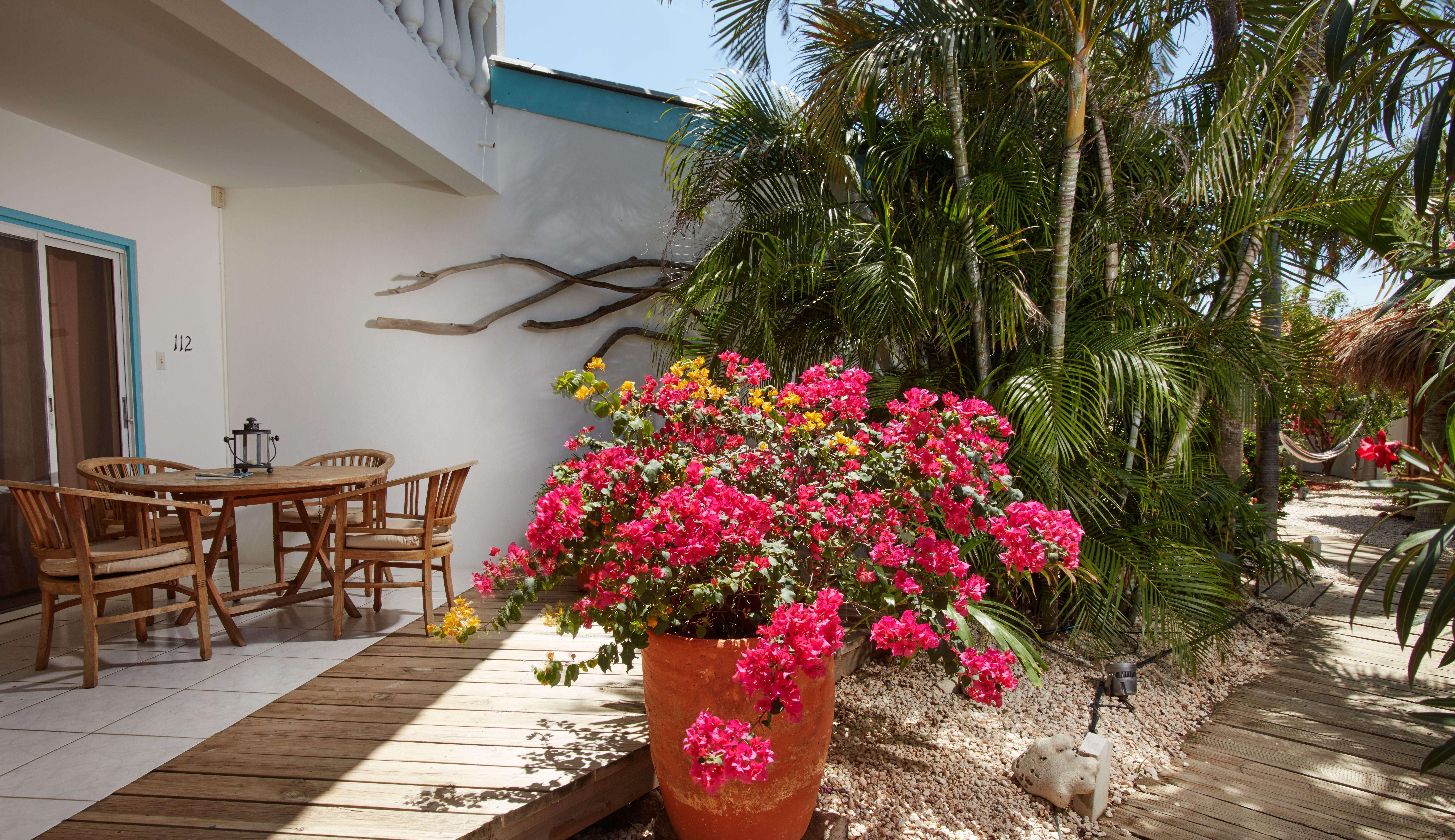 Paradera Park Aruba Oranjestad Kültér fotó